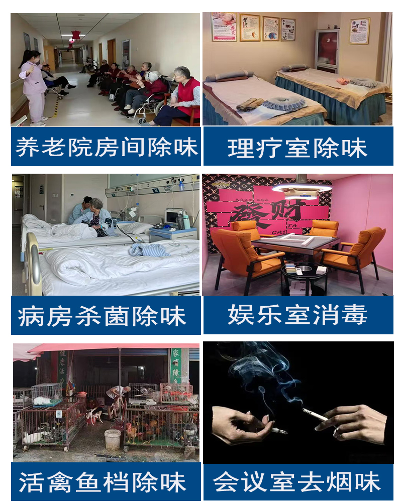 p14.jpg