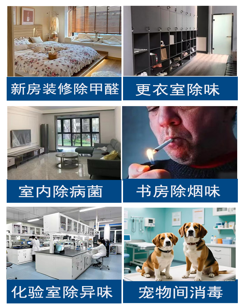 p13.jpg